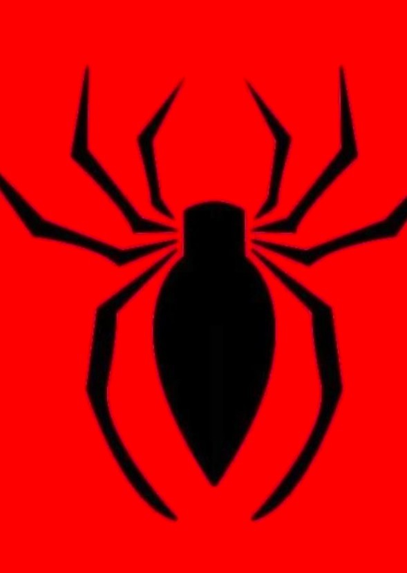 The Friendly Neighborhood Spider-man