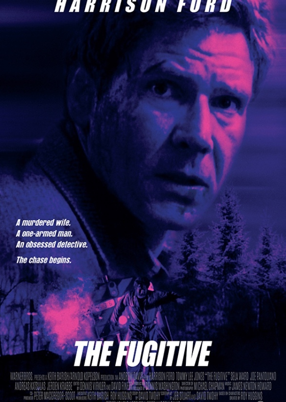 The Fugitive (2003)