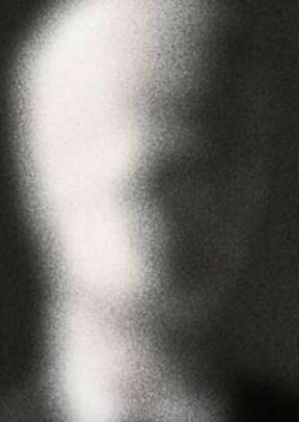 The Great Pale 
