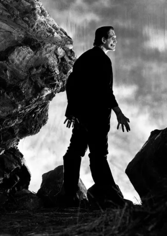 The Heir of Frankenstein