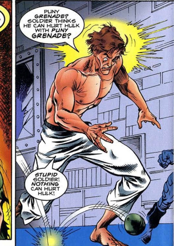 The Incredible Hulk : Savage Banner 