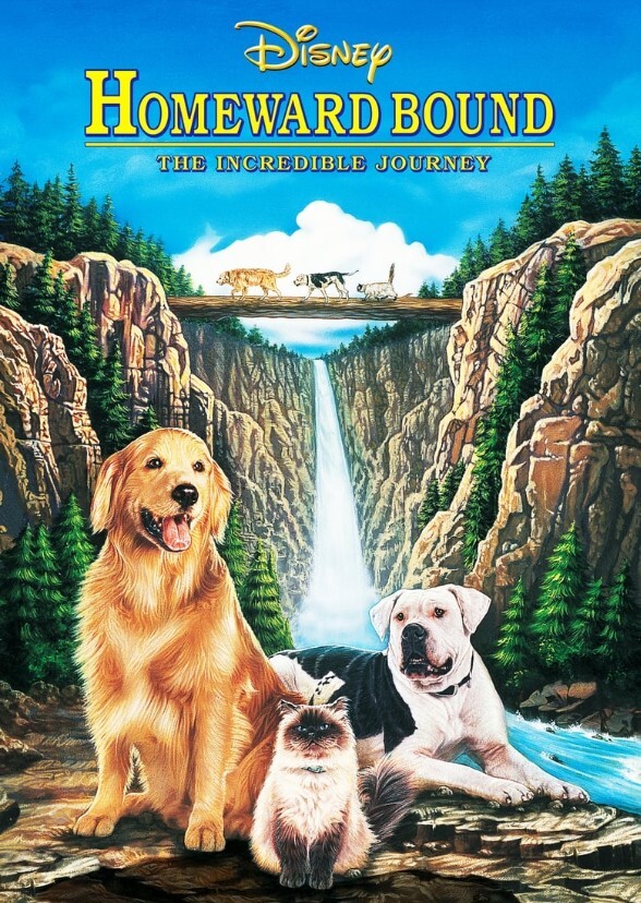 The Incredible Journey