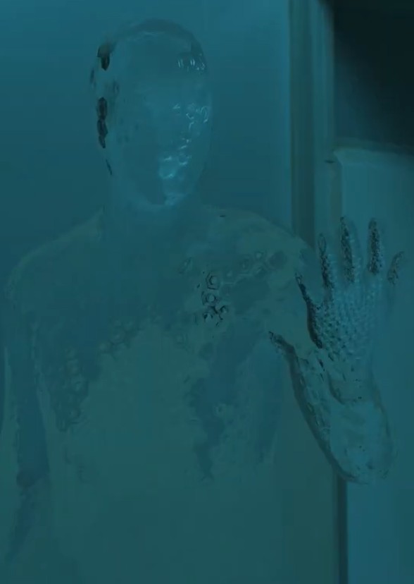 The Invisible Woman