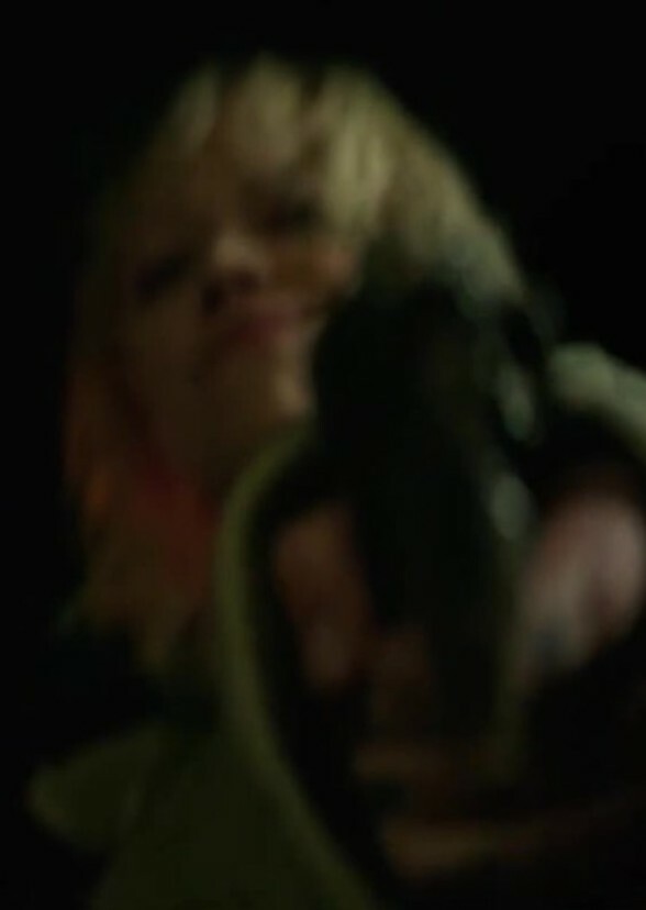 The Joker and Harley Quinn