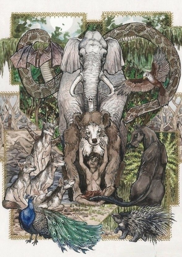 The Jungle Book (Adult Animation)