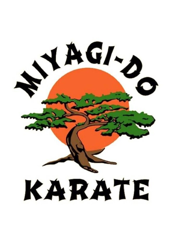 The Karate Kid Part V