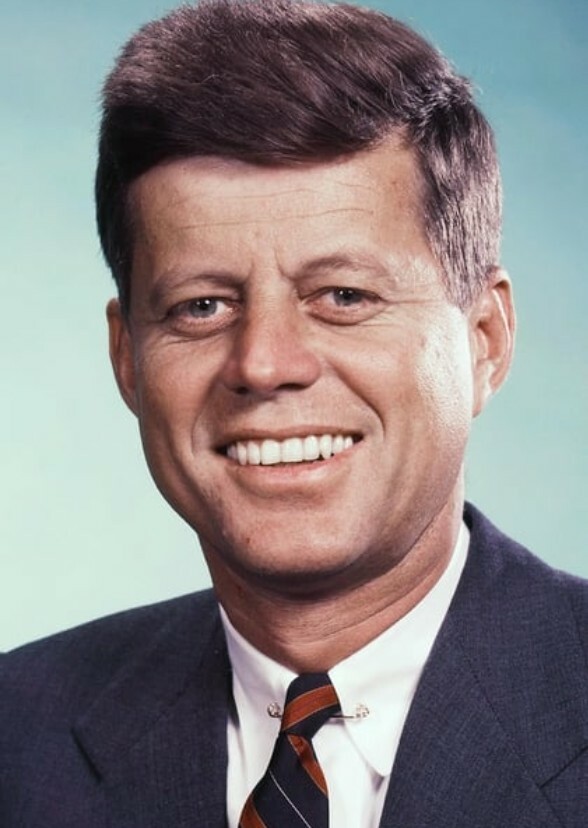 The Kennedy tv series 