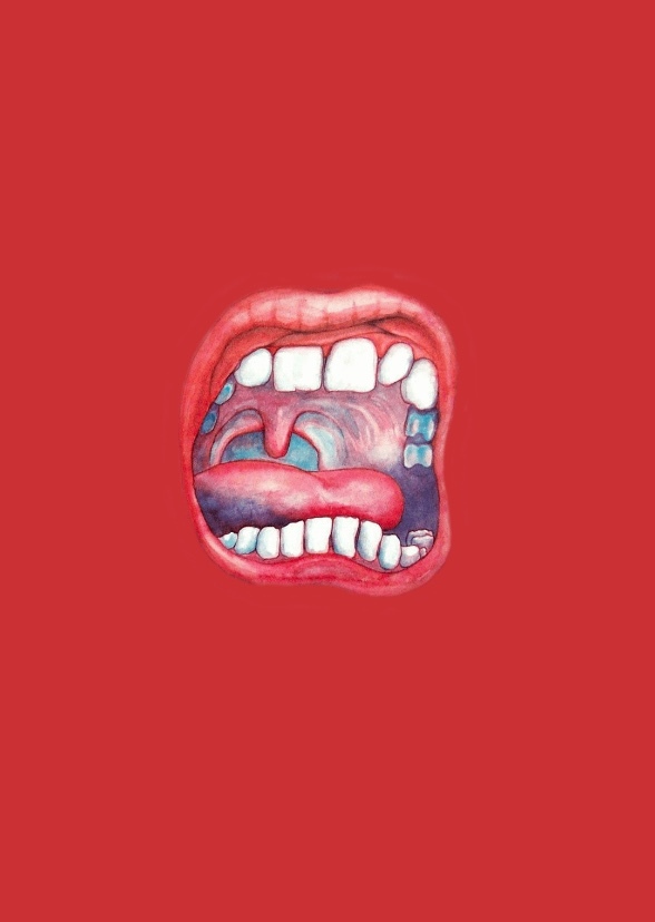 The King Crimson Story
