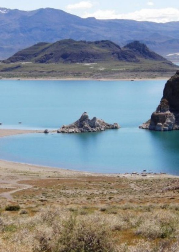 The Lake