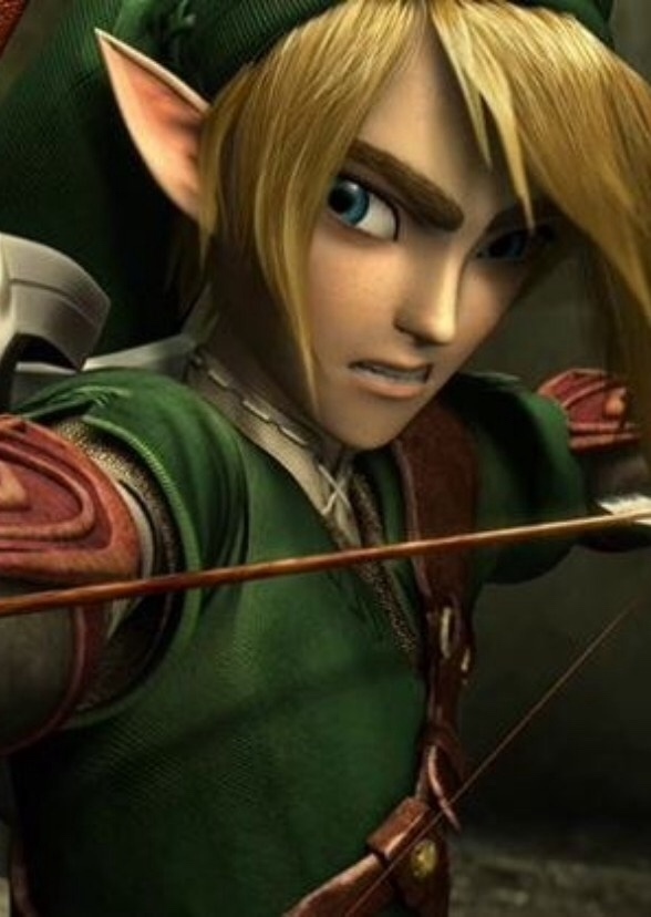 The Legend of Zelda (2007)