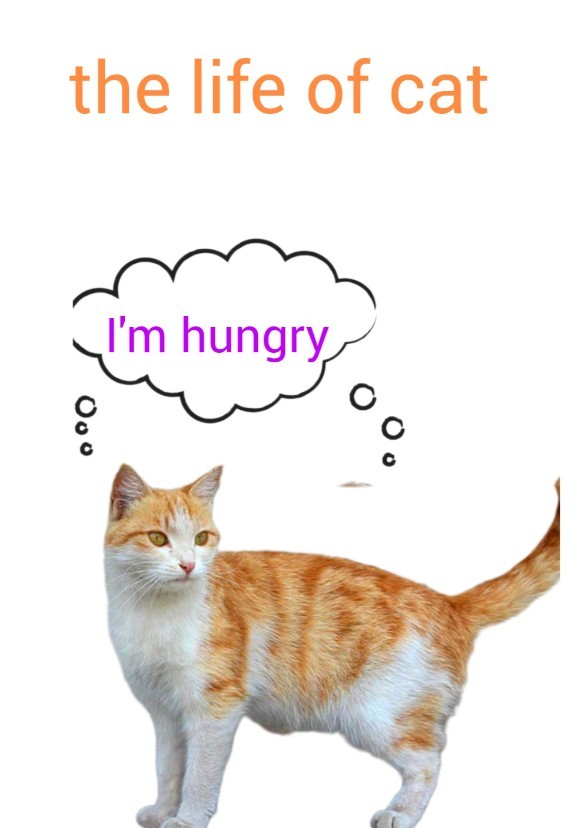 The Life Of Cat's