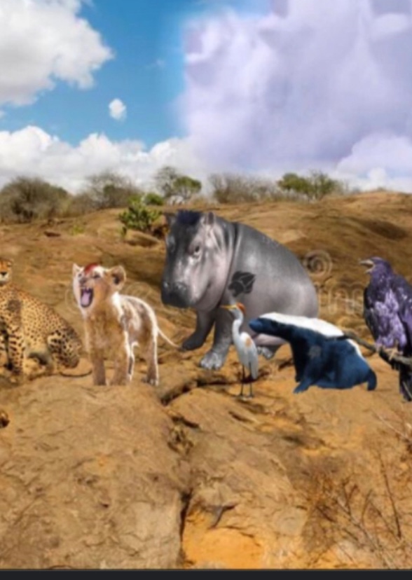 The Lion Guard: live action 