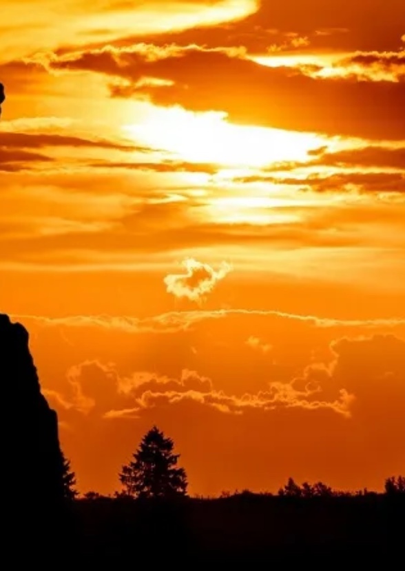The Lion King
