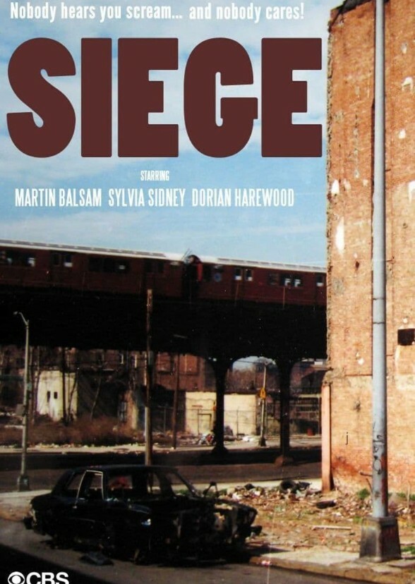 The Little Iliad: Shadows of the Siege