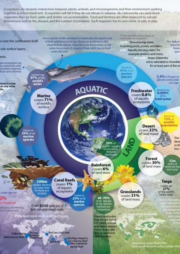 The Living World