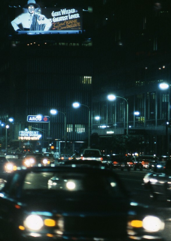 The Longest Night