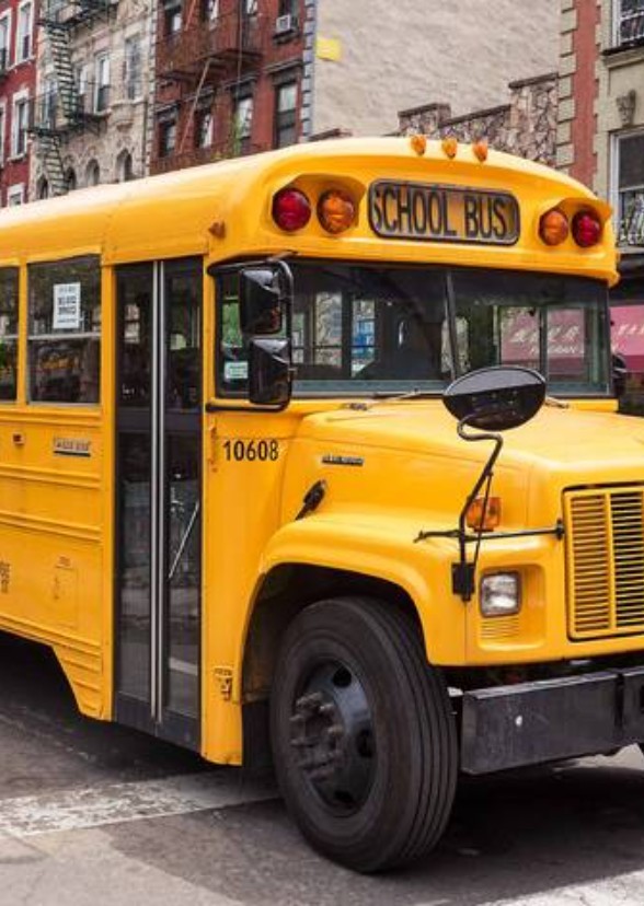 The Magic School Bus Movie
