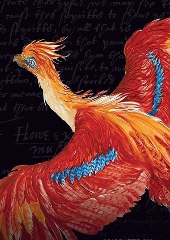 The Mauraders