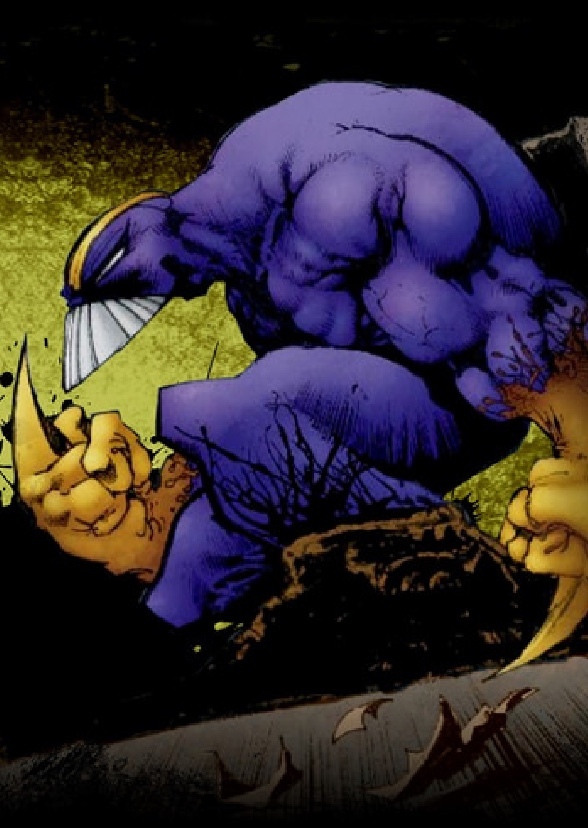 The Maxx