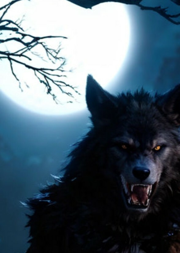 The Moon 3