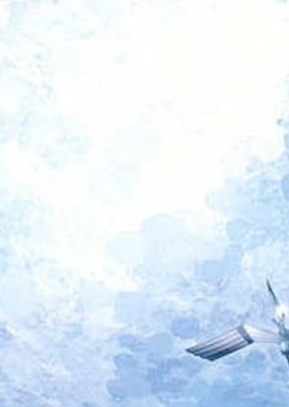 The moon warriors