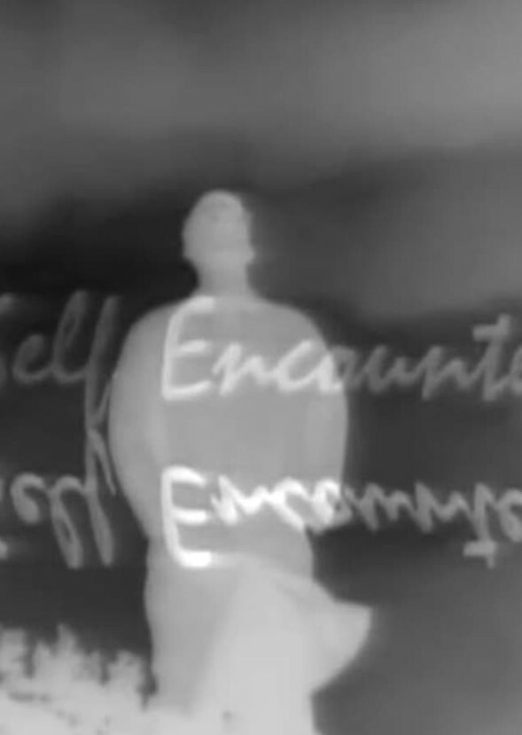 The moviegoer