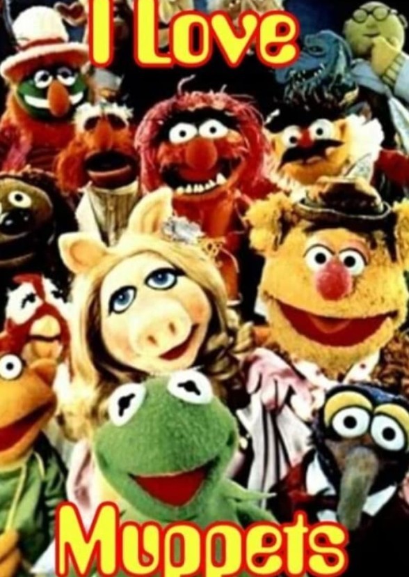 the Muppets 
