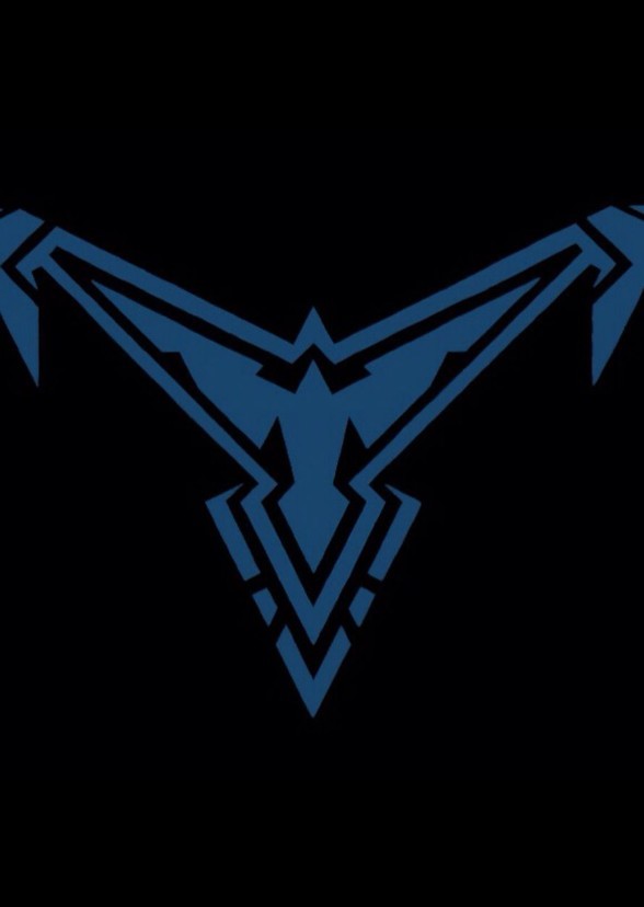 The Nightwing