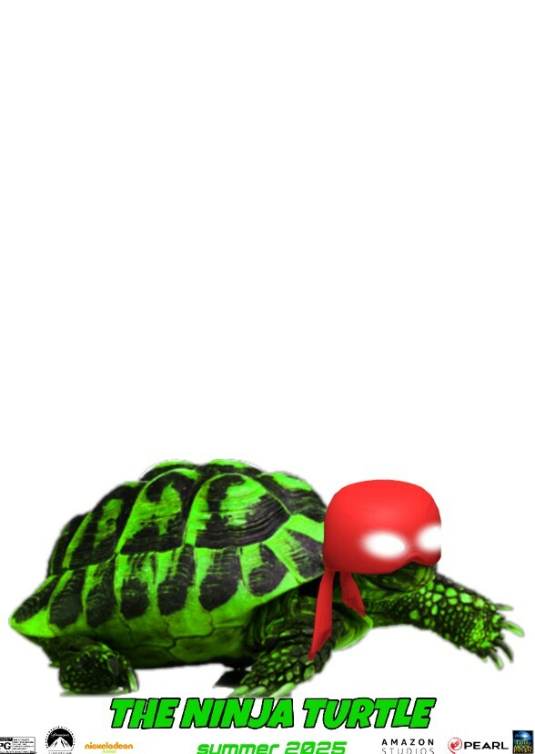 The Ninja Turtle