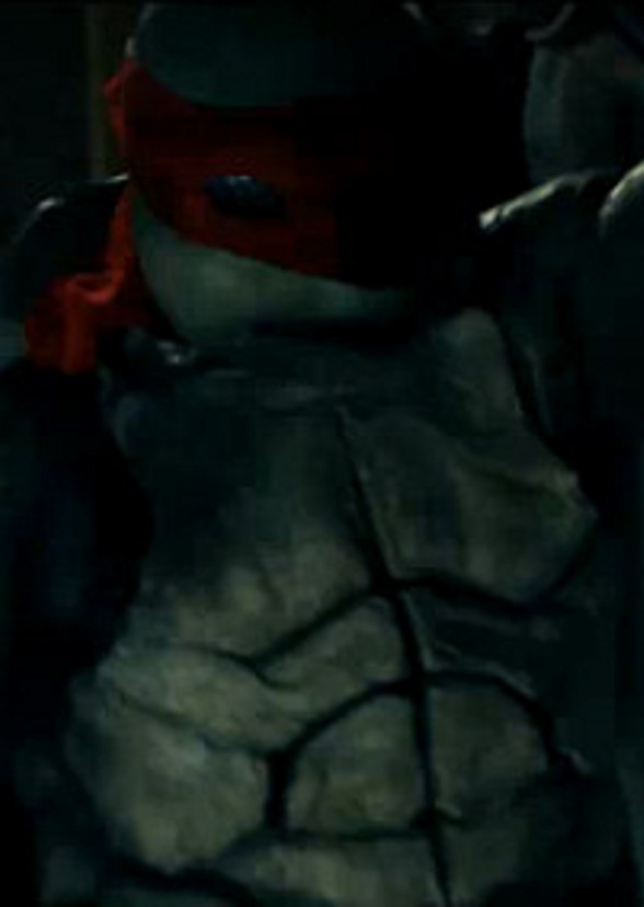 The Ninja Turtles (2010-2011)