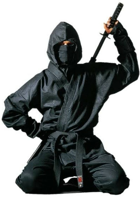 The Ninjas 2