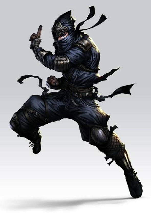 The Ninjas 4