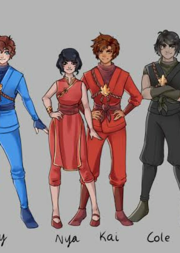 The Ninjas