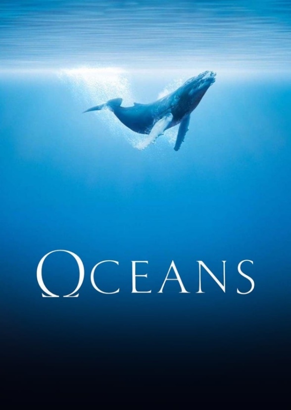 The Ocean Animal Show