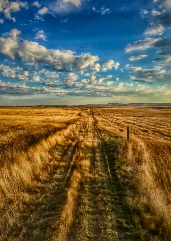 The Old Prairie Home