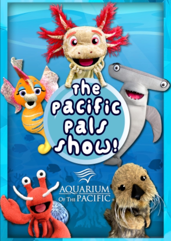 The Pacific Pals Game