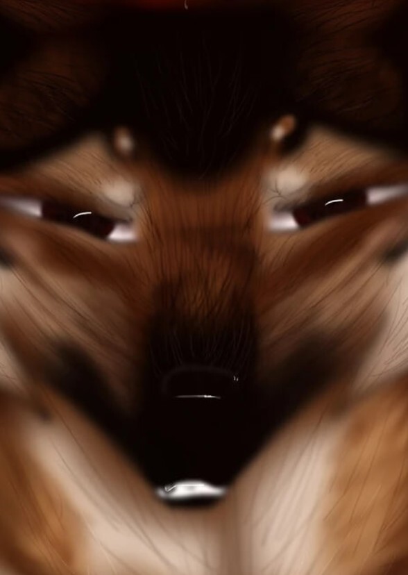 The pack Matsfird