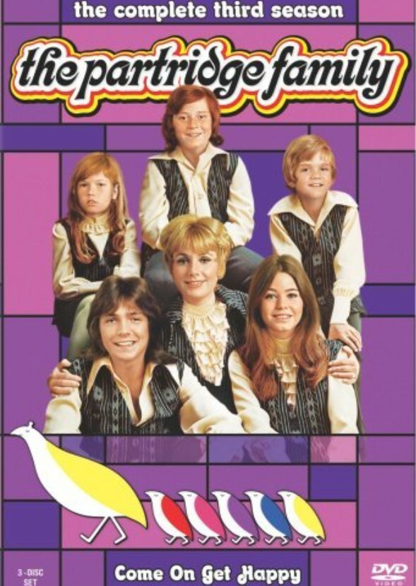 The Partridge Family (2004)