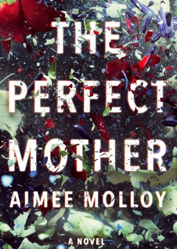 The Perfect Mother