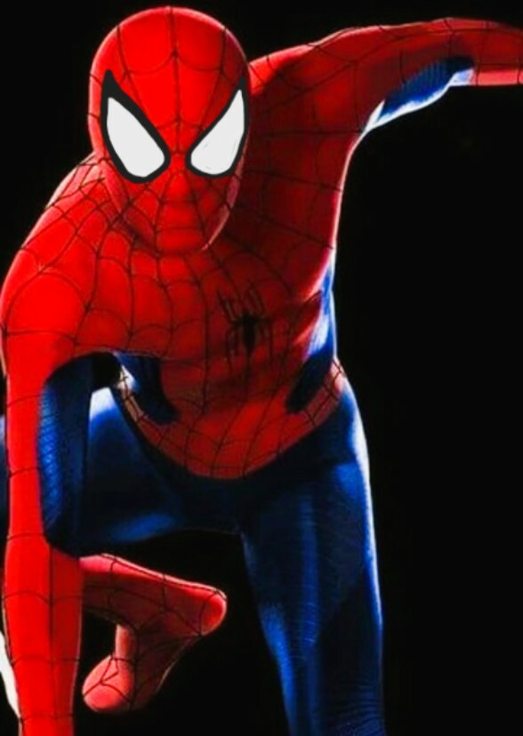 The Perfect Spider-Man Movie