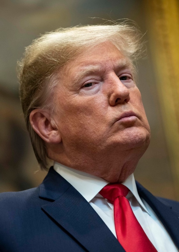 The Presidential Dictatorship