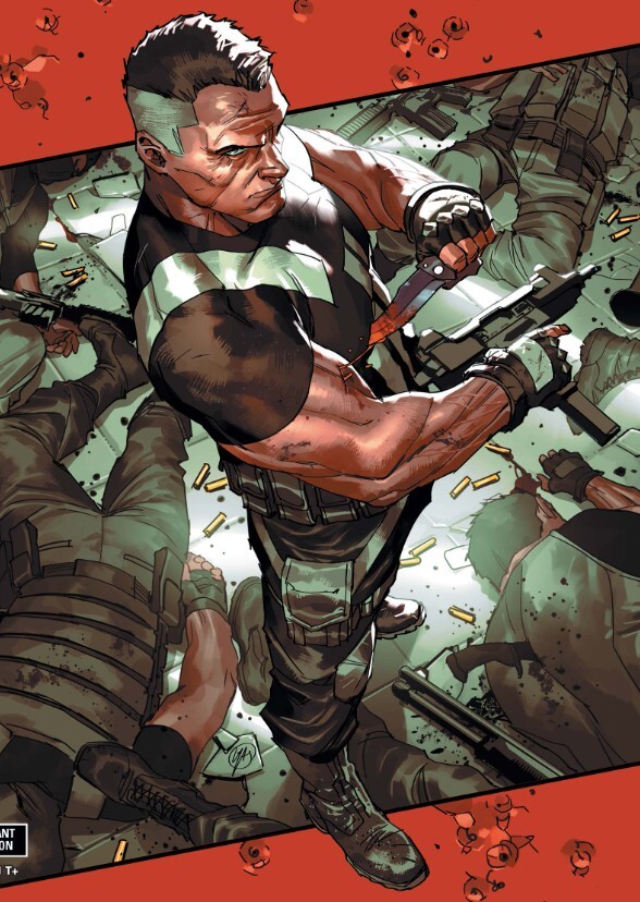 The Punisher: The Hunt is Over