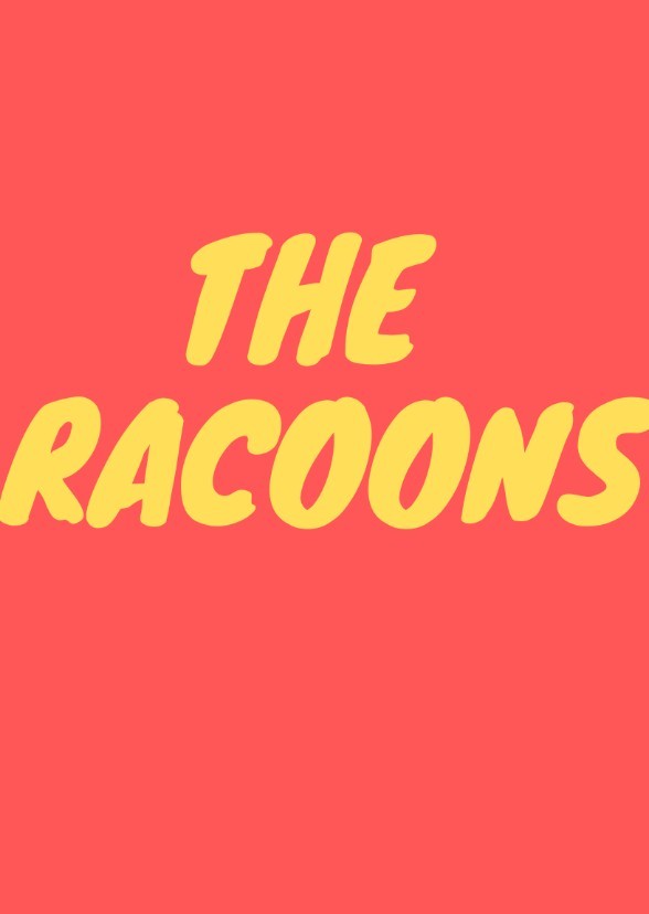 The Racoons