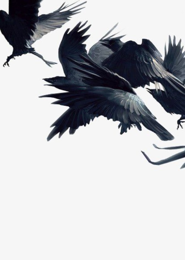 The Raven Boys