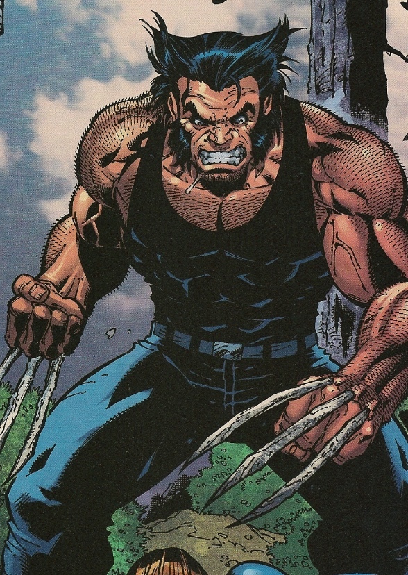 The Sabretooth and the Wolverine