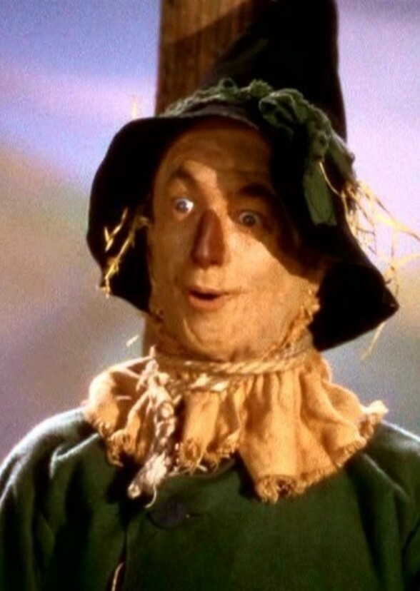 The Scarecrow Fan Casting for The Wizard of Oz (2024)