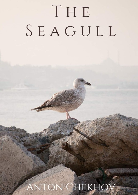 The Seagull