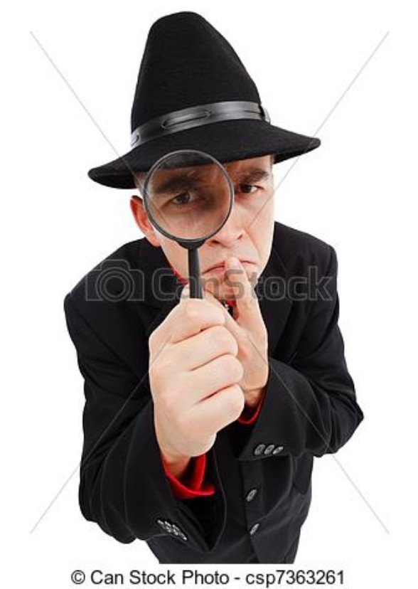 The Search