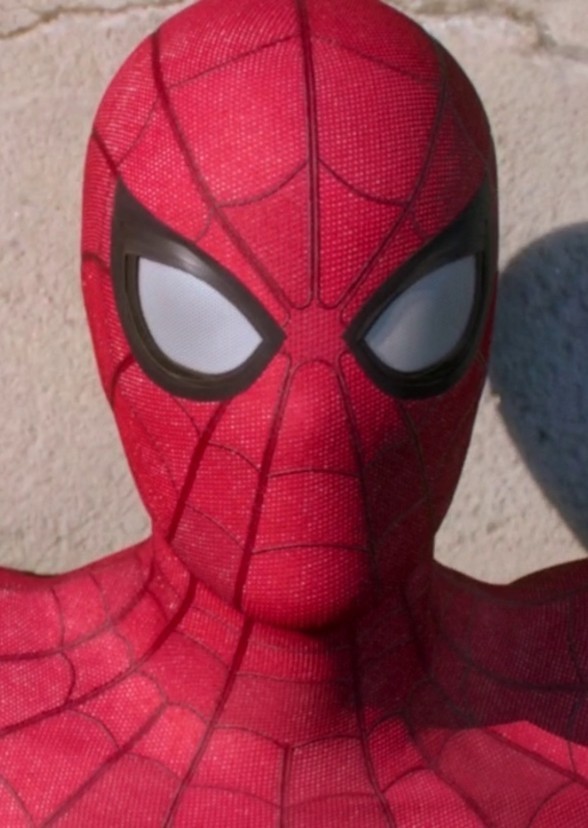 the Sensational Spider-Man Season 1