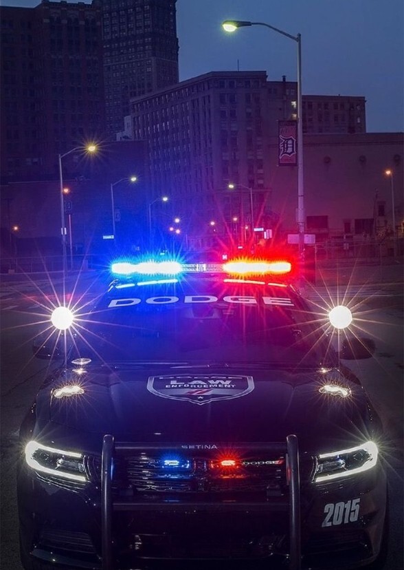 THE SEVENTH PRECINCT (2031)